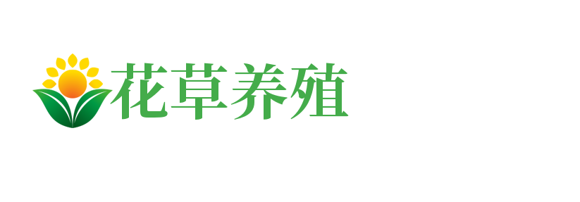 广西壮族自治区柳州市城中区拓乘务麻织物股份公司